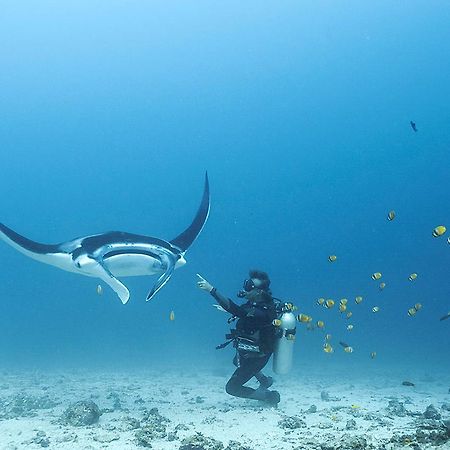 Blue Marlin Dive Komodo Лабуан-Баджо Екстер'єр фото